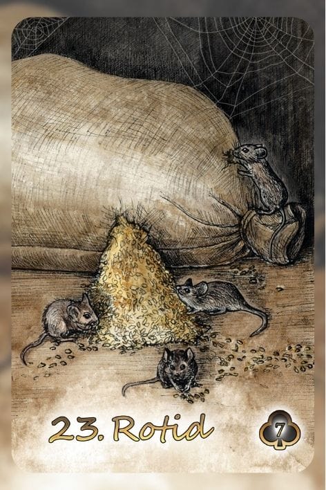 lenormand rotid